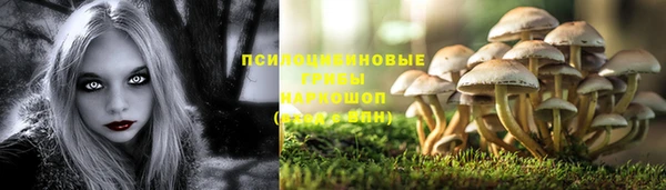 первитин Горняк