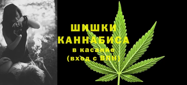 первитин Горняк