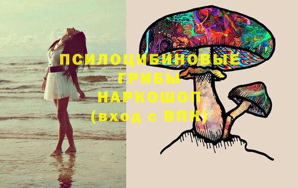 первитин Горняк