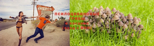 ALPHA-PVP Горно-Алтайск
